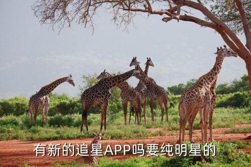 有新的追星APP吗要纯明星的
