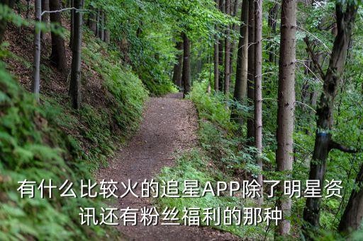 有什么比较火的追星APP除了明星<a target=
