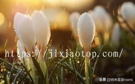 情侣星盘配对分析，星盘配对看长久缘分