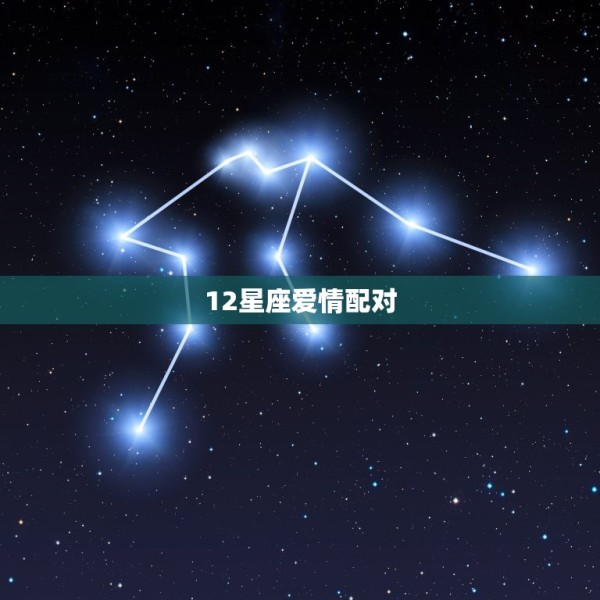 12星座爱情配对，十二星座爱情配对 第1张