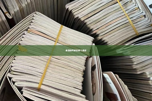 泰国保关要走哪个通道