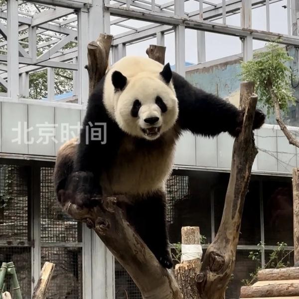 今天，三位顶流过生日！