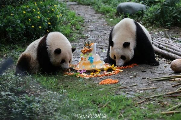 今天，三位顶流过生日！