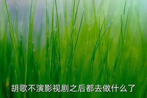 胡歌不演影视剧之后都去做什么了