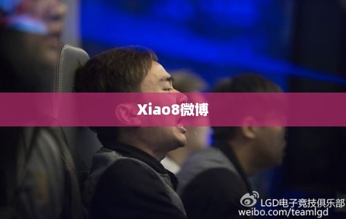 探究Xiao8微博，社交媒体的力量与影响力揭秘