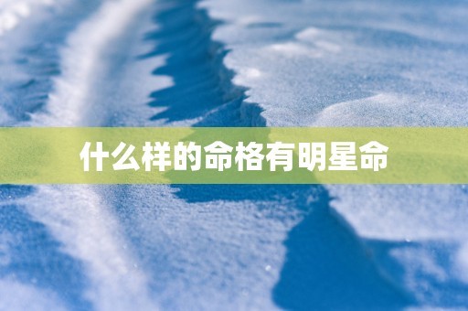 什么样的命格有明星命