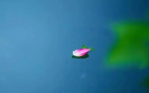八字命理揭秘：哪些女性偏爱暧昧关系