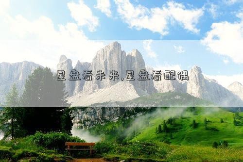 星盘看未来,星盘看配偶