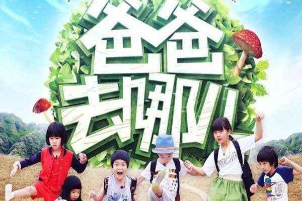 中国十大最火爆的综艺节目