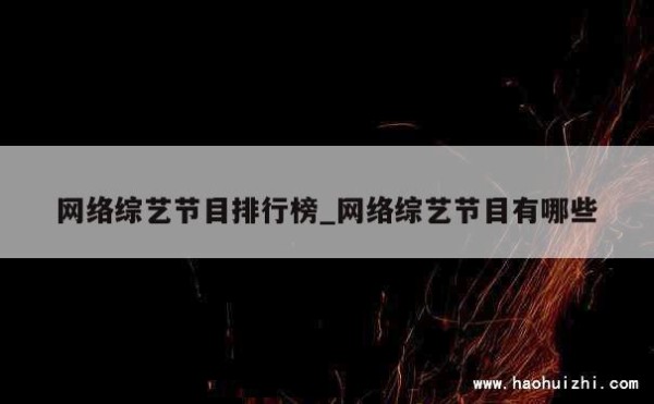 网络综艺节目排行榜_网络综艺节目有哪些 第1张