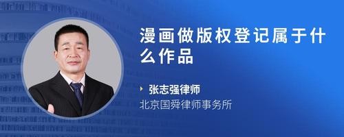 漫画做版权登记属于什么作品