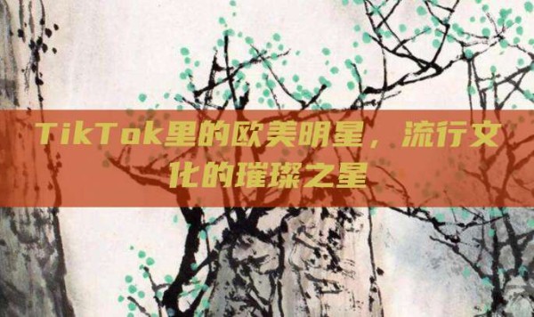 TikTok里的欧美明星,流行文化的璀璨之星
