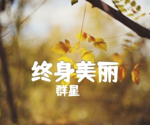 《终身美丽》G调吉他谱