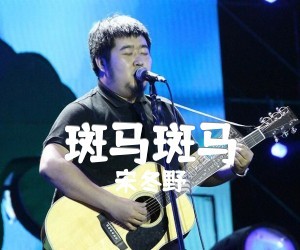 宋冬野《斑马斑马》G调吉他谱
