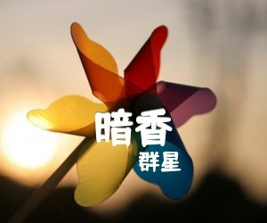 《暗香》C调吉他谱