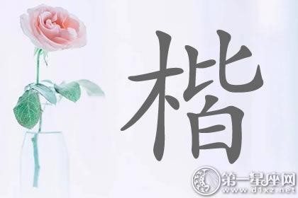 超正直的带楷字明星名字分析