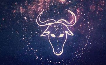 事业运上升的星座！金牛当仁不让