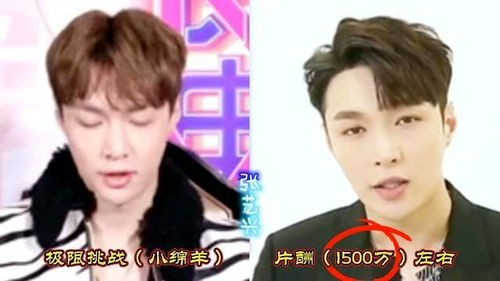 极限挑战演员星座揭秘明星星座!