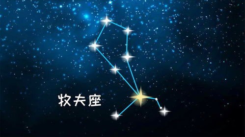 十二星座中谁最出名?揭秘明星星座排行!