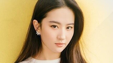 中国巨星之路与时代印记，揭秘最知名明星的辉煌之路