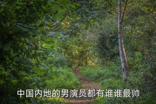 中国内地的男演员都有谁谁最帅