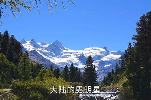 大陆的男明星