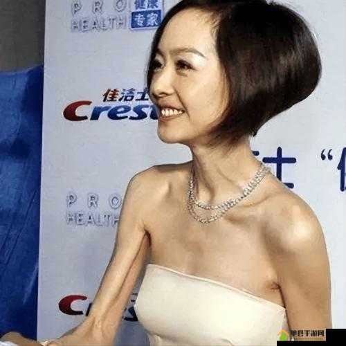 给我 C1V1：娱乐圈明星背后的心酸与辉煌：揭秘成名背后的故事