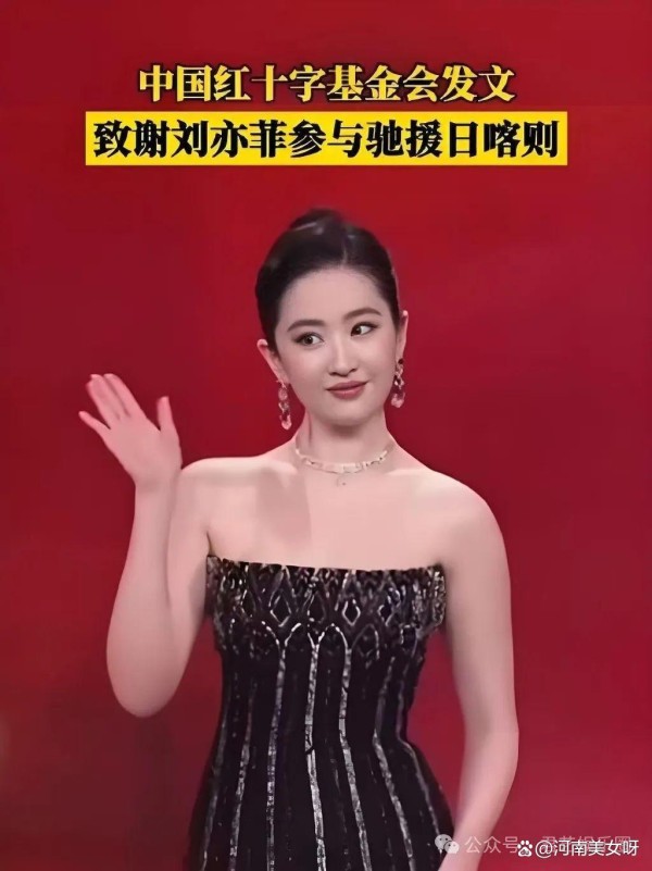 刘亦菲近2000万物资与50万现金，助力西藏日喀则灾区渡渡过难关