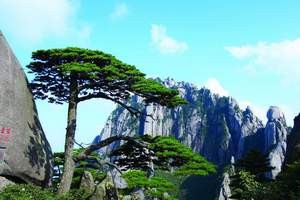 南京杭州上海、黄山、西递屏山、千岛湖、水乡乌镇双飞七日游