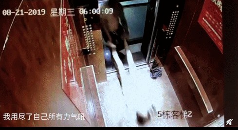 002.gif