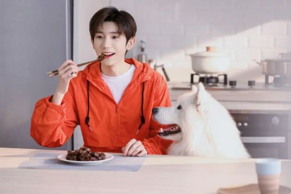 王源、刘亦菲陈晓、杨幂等明星的小八卦