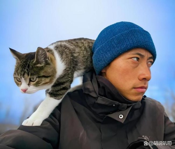 网红猫 悬赏击杀 非自然死亡疑云