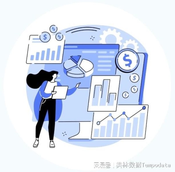 双11数据可视化分析实操，电商大数据分析应用案例详解