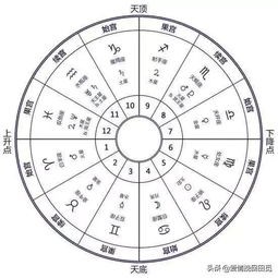 生肖星座影响解析:揭秘上升星座如何塑造个性与命运