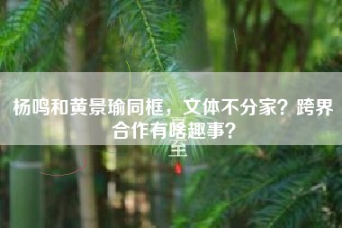 杨鸣和黄景瑜同框，文体不分家？跨界合作有啥趣事？