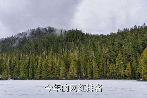 今年的网红排名