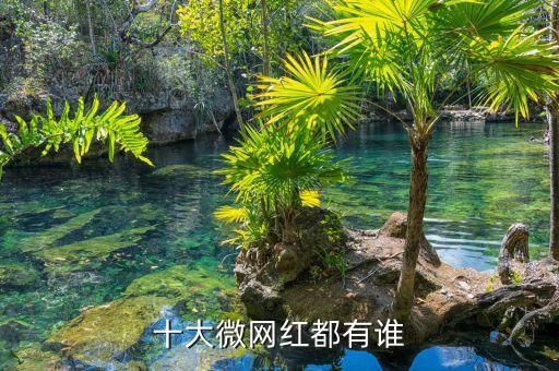 十大微网红都有谁