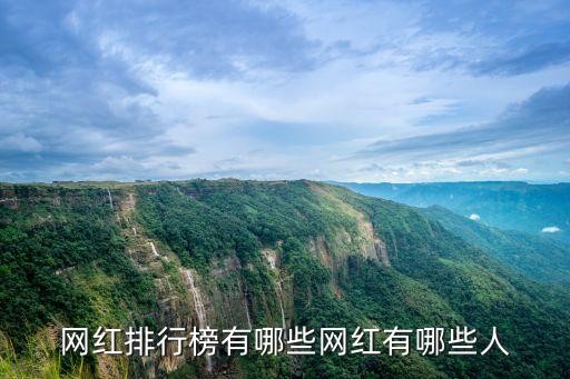 网红排行榜有哪些网红有哪些人