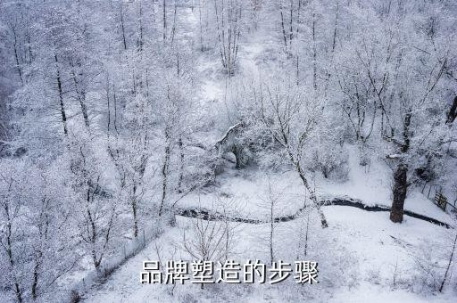 品牌塑造，品牌塑造的步骤