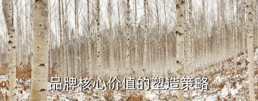 品牌核心价值的塑造策略
