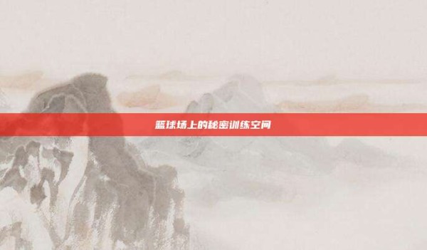 篮球场上的秘密训练空间