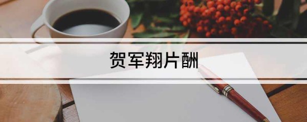 贺军翔片酬