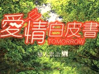 电视代表作《爱情白皮书》
