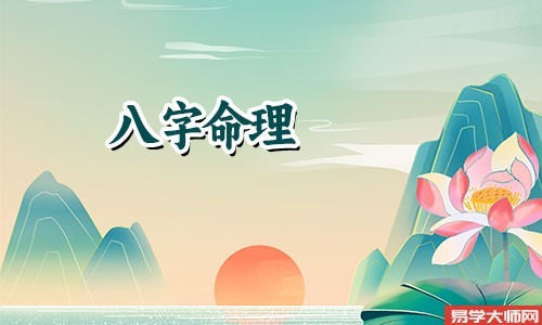 中国歌曲明星林宥嘉的介绍和生辰八字分析
