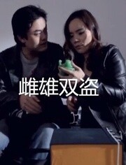 雌雄双盗