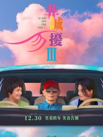 非诚勿扰3
