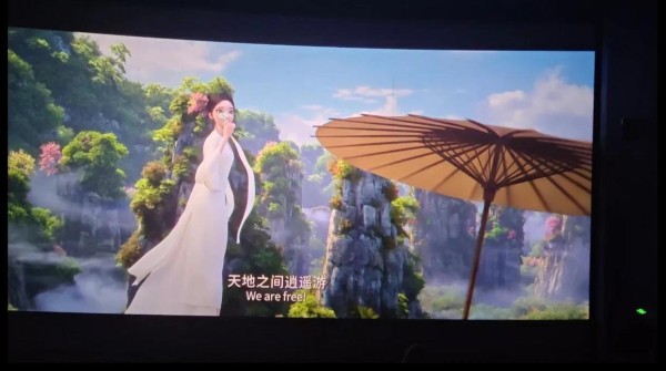 从0到60：阿里纳斯的励志人生