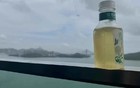 90%的香港高才，已经放弃香港身份续签