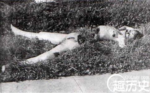 黑色大丽花的尸体