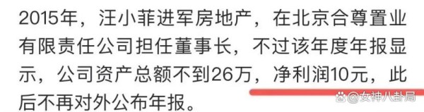 开了家房地产公司年利润10元钱！汪小菲被嘲“商业奇才”